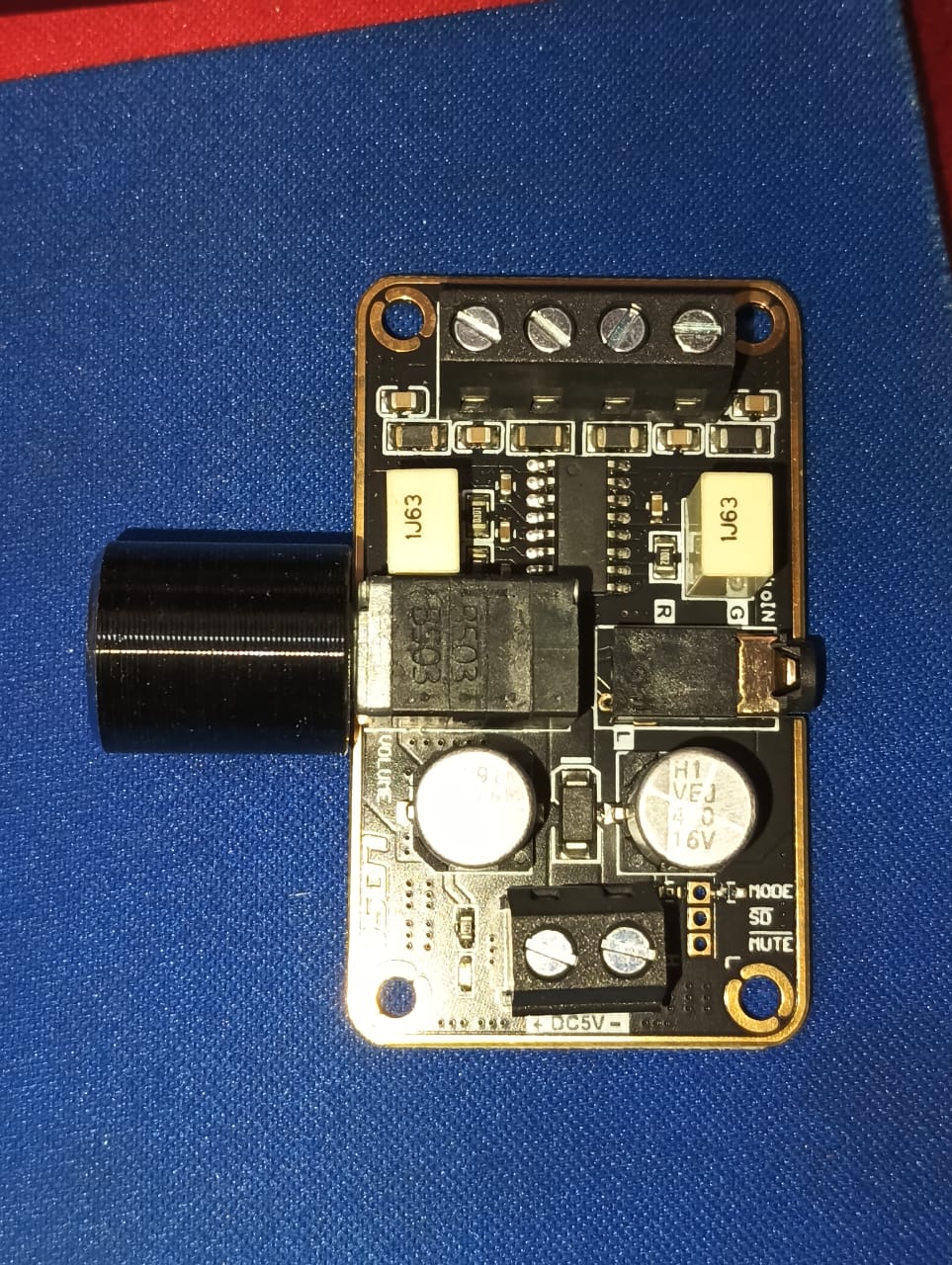 PAM8406 KNOB 5W DIGITAL AMPLIFIER MODULE ETA2493