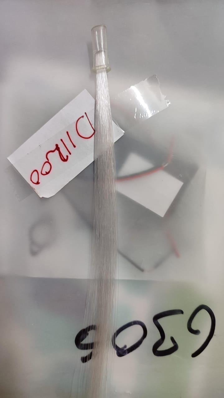 PEACOCK with TAIL LIGHT STEM Unassembled KIT ETD11200