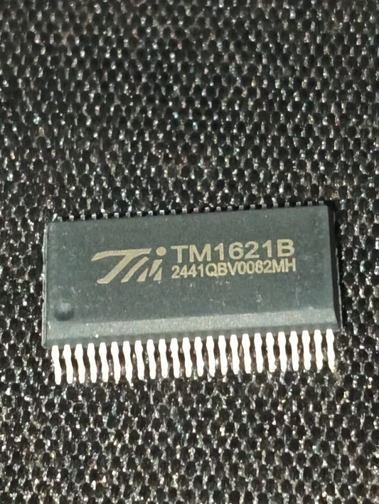 TM1621B SSOP-48-300mil LCD Drivers 4-wire serial interface ETA2149
